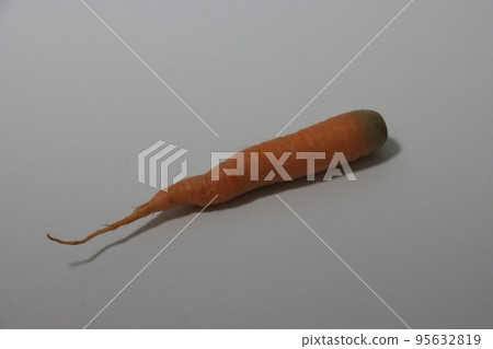 紅蘿蔔 95632819