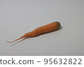 carrot 95632822