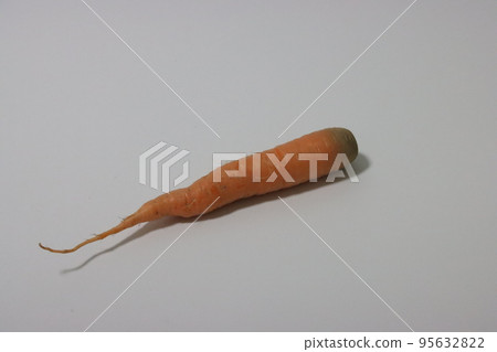 carrot 95632822