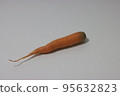 carrot 95632823