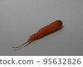 carrot 95632826