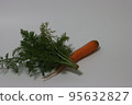 carrot 95632827