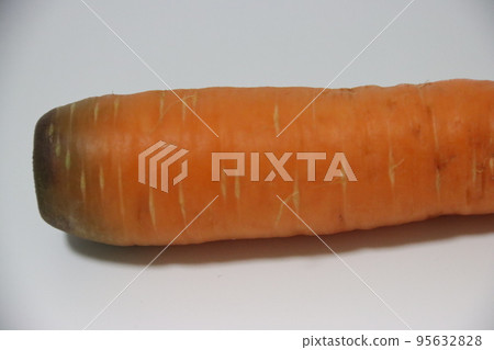 carrot 95632828