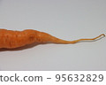 carrot 95632829