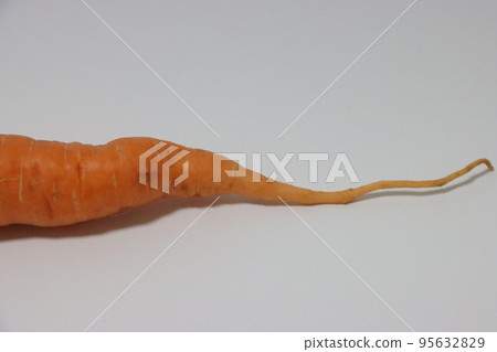 carrot carrot 95632829