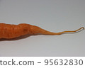 carrot 95632830