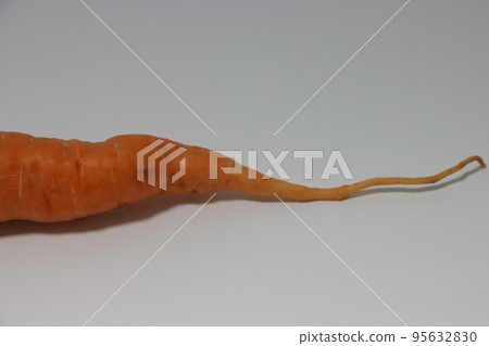 紅蘿蔔 95632830