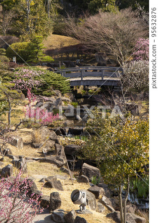 Spring plum garden Spring plum garden 95632876