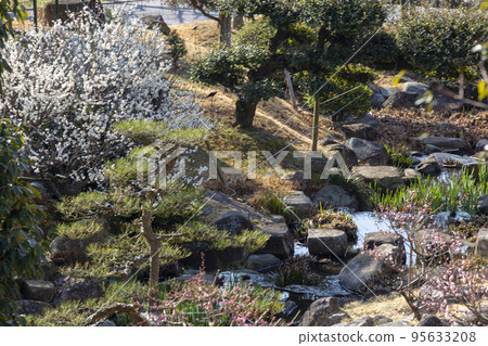 Plum blossom white plum Plum blossom white plum 95633208