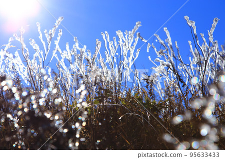 橫手山山頂的白霜 95633433