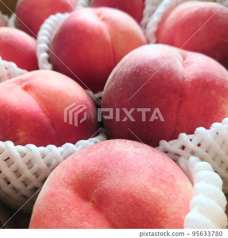 peach peach 95633780