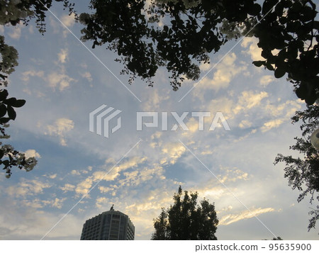 Landscape at dusk 95635900