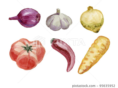 vegetables watercolor by hand set of isolated objects tomato onion garlic carrot pepper 95635952