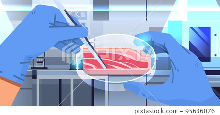 scientist hands holding cultured red raw meat made from animal cells artificial lab grown meat production concept scientist hands holding cultured red raw meat made from animal cells artificial lab grown meat production concept 95636076