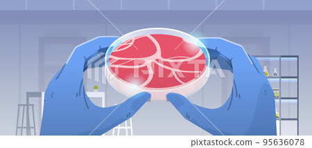 scientist hands holding cultured red raw meat made from animal cells artificial lab grown meat production concept scientist hands holding cultured red raw meat made from animal cells artificial lab grown meat production concept 95636078
