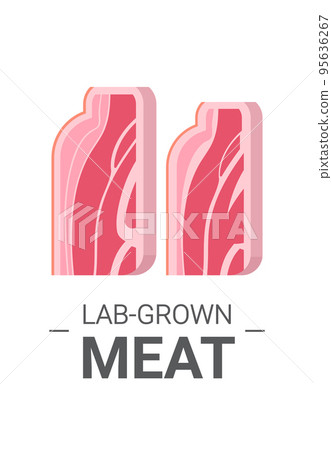cultured raw red meat bacon made from animal cells artificial lab grown meat production concept vertical 95636267