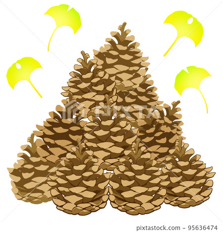 A pile of pine cones 95636474
