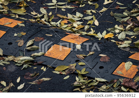 Speed bump is on wet street pavement with fallen leaves Speed bump is on wet street pavement with fallen leaves 95636912