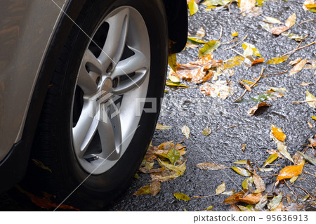 Wheel of a car on wet road with fallen yellow autumn leaves 95636913