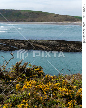 Dense coastal bushes. View of Clonakilty Bay. Sea rocks. A picturesque place in Europe, rock near body of water. The nature of Ireland. 95638212