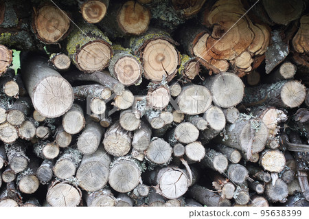 Chopped firewood on a stack 95638399