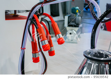 Teat cups of automated cow milking suction machine Teat cups of automated cow milking suction machine 95639542