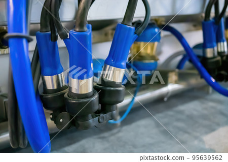 Teat cups of automated cow milking suction machine 95639562