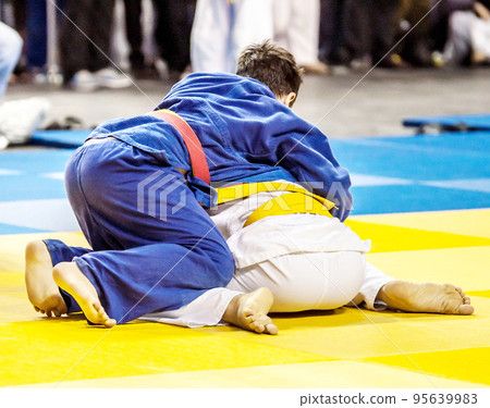 Two boys fighter compete in Judo Two boys fighter compete in Judo 95639983