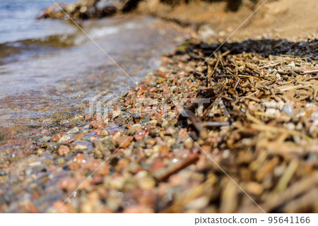 the shore line the shore line 95641166