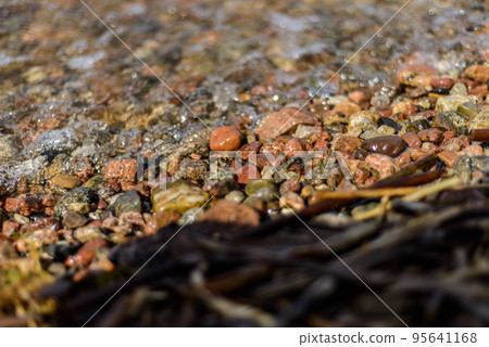 Brightly colored rocks washed by waves freshwater lakes with crystal clear water, seaweed washed up on shore 95641168