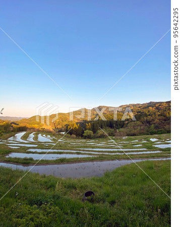 [Kamogawa City, Chiba Prefecture] One of Japan's Top 100 Terraced Rice Fields "Oyama Senmaida" 95642295