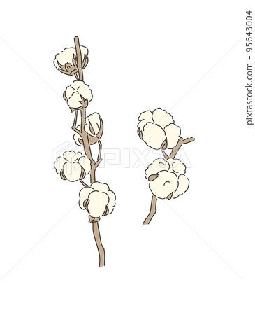 棉花枝插畫 棉花枝插畫 95643004