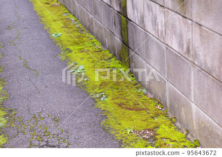Land residential land boundary real estate image Land residential land boundary real estate image 95643672