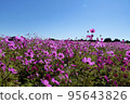 Cosmos 95643826