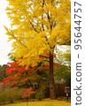 Autumn tree 95644757