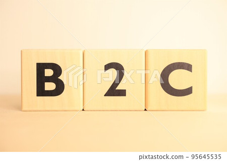 B2C (BtoC) 文本資料 B2C (BtoC) 文本資料 95645535