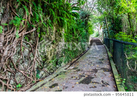 沖繩縣那霸市金城町石板路 95645811