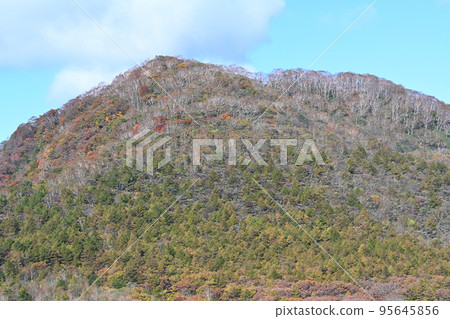 紅葉山（栃木縣那須高原） 95645856