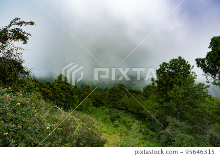 Las Animas town, located in the Oaxaca highlands, Mexico Las Animas town, located in the Oaxaca highlands, Mexico 95646315