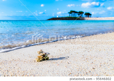 沖繩的藍色大海～鑽石海灘～ 95646802