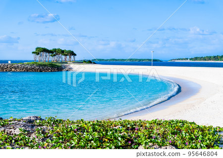 沖繩的藍色大海～鑽石海灘～ 95646804