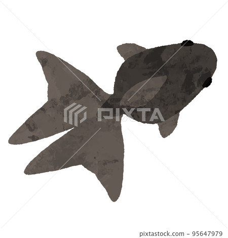 水彩風格黑色金魚的頂視圖 95647979