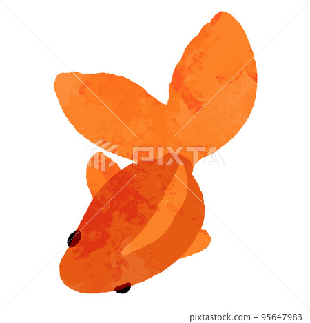 水彩風格的頂視圖紅金魚 95647983