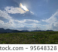 sunny meadow 95648328