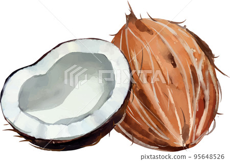 Palm fruit watercolor style vector illustration set 95648526