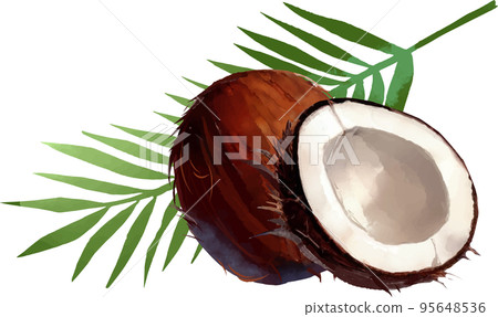 Palm fruit and leaves Watercolor style vector illustration set 95648536