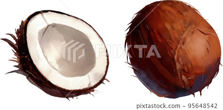 Palm fruit watercolor style vector illustration set Palm fruit watercolor style vector illustration set 95648542