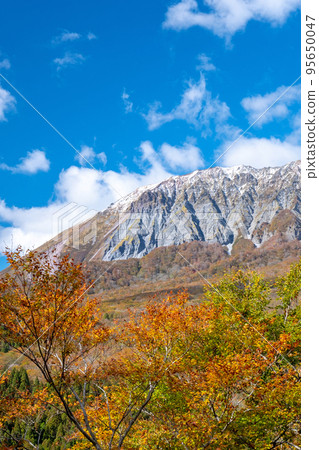 秋色和奧大山的第一場雪(影掛峠) 秋色和奧大山的第一場雪(影掛峠) 95650047