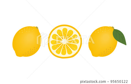 檸檬葉和橫截面 檸檬葉和橫截面 95650122