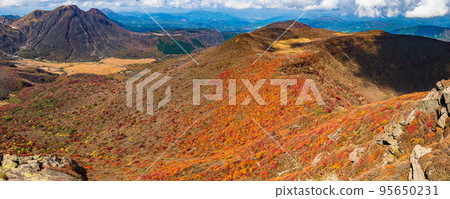 Mt. Taisen is the third highest mountain in the Kokonoe mountain range, with a large colony of Rhododendron japonicum in spring, a gradation of colored leaves in autumn, and a blanket of snow in winter. Mt. Taisen is the third highest mountain in the Kokonoe mountain range, with a large colony of Rhododendron japonicum in spring, a gradation of colored leaves in autumn, and a blanket of snow in winter. 95650231